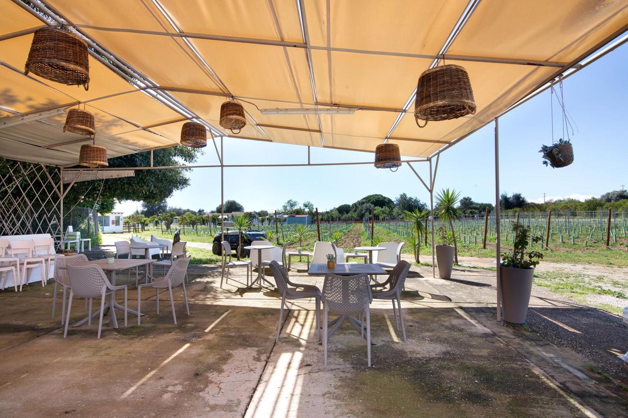 Сasa de vacaciones Casa Xarem - Vinhas De Nexe *